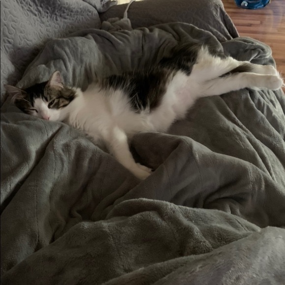 Meet your Posher, Kim - Picture 12 of 16